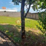 WhatsApp Image 2025-06-11 at 12.45.12 (1)