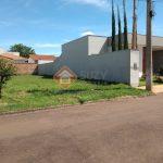 WhatsApp Image 2025-08-05 at 11.48.17