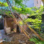 WhatsApp Image 2025-09-17 at 10.04.50