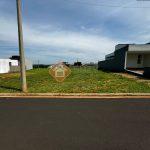 WhatsApp Image 2026-04-15 at 15.22.48 (1)